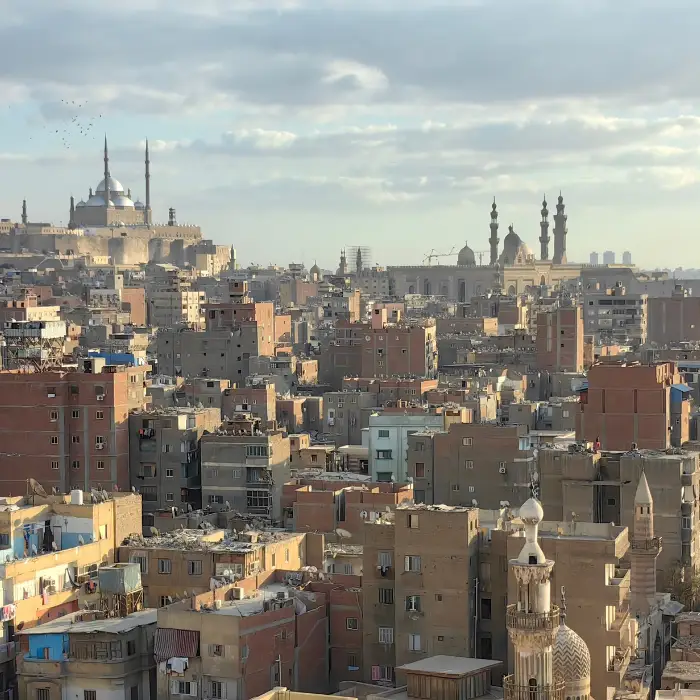 Quality control company in Egypt